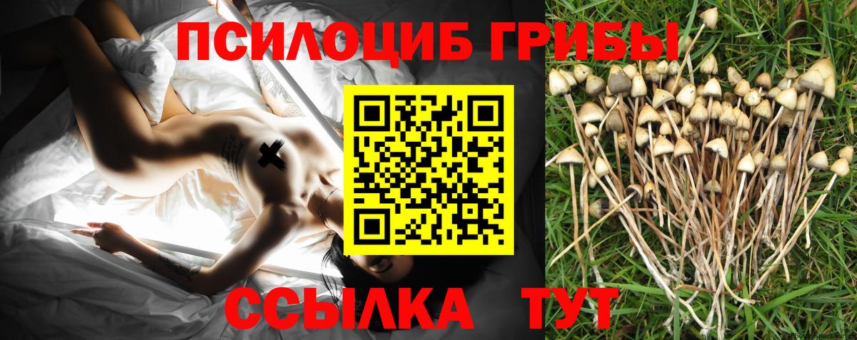 Морозовск  Псилоцибиновые грибы MAGIC MUSHROOMS  Вход с VPN 