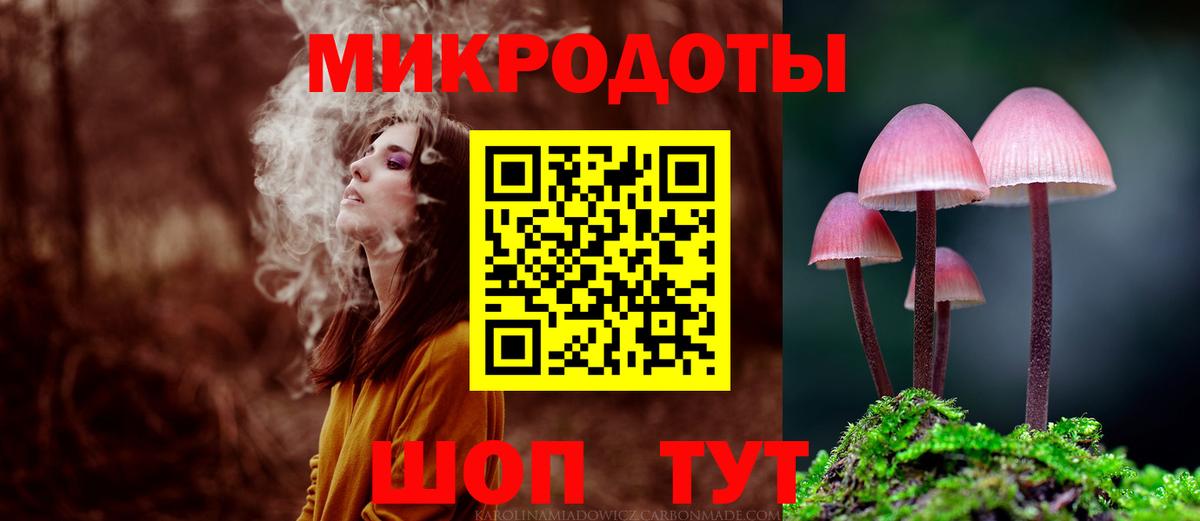 Псилоцибиновые грибы Psilocybine cubensis Морозовск